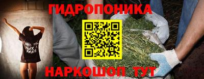 СК Сланцы